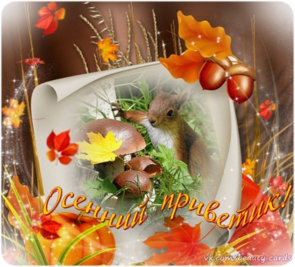 Открытки осенний привет