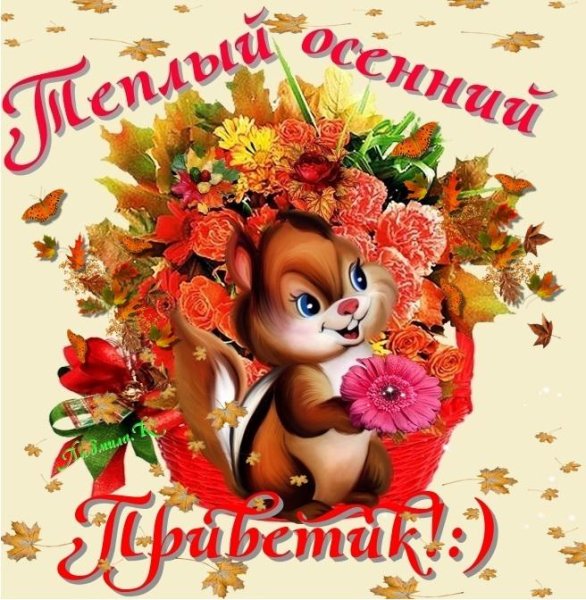 Открытки осенний приветик