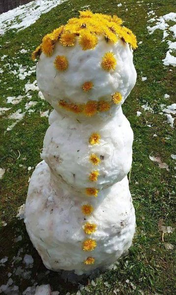 Снеговик в мае