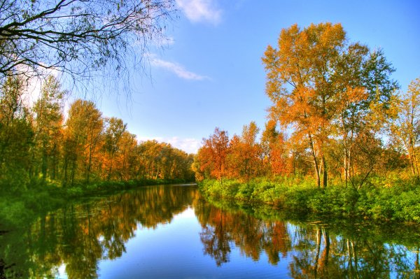 Осень река