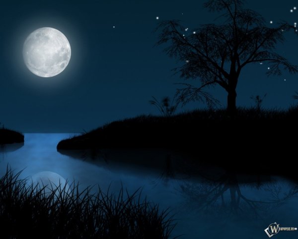 Обои ночь Луна