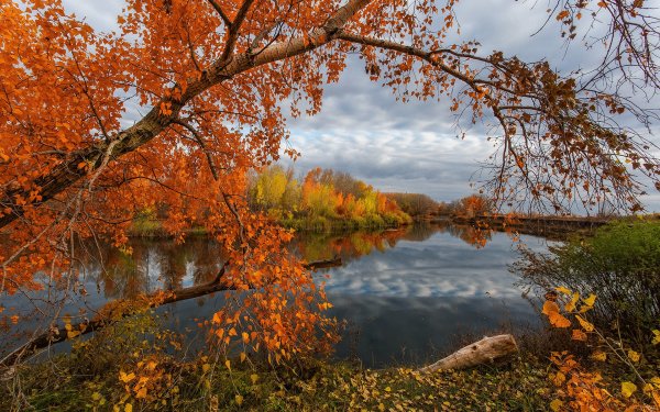 Река осенью