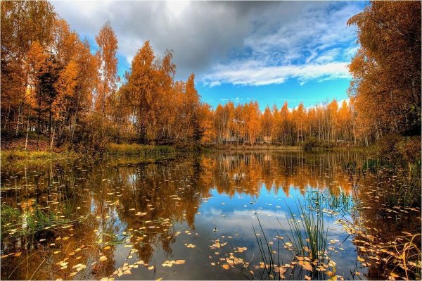 Озеро осенью