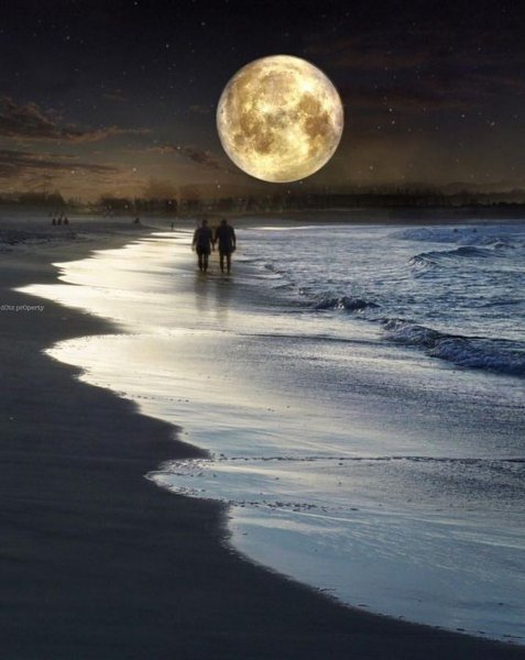 Лунная ночь