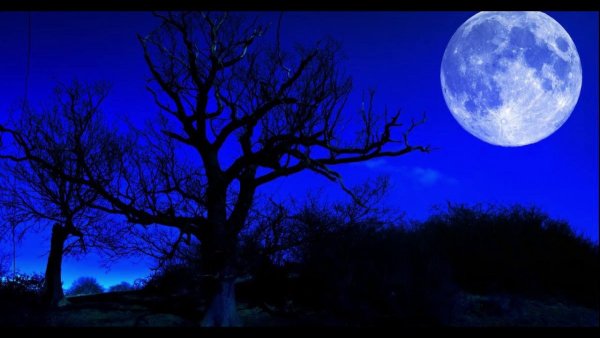Ночь Луна