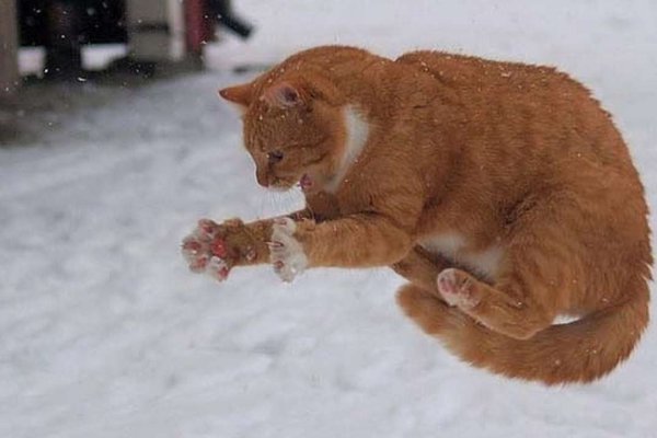 Ура перезимовали