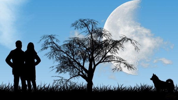 Прогулка при Луне