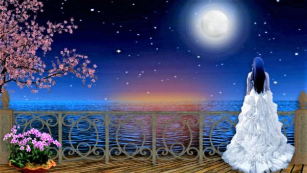 Романтический ночной фон