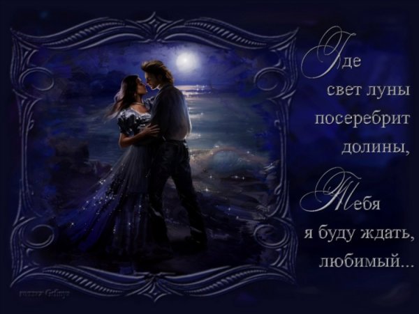 День свиданий под луной открытки