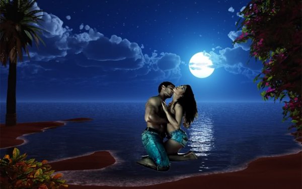 Ночное море любовь