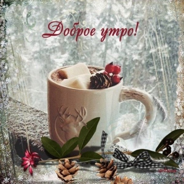 Няшное доброе утро