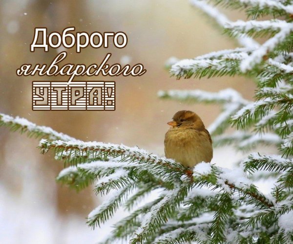 Доброе утро снег