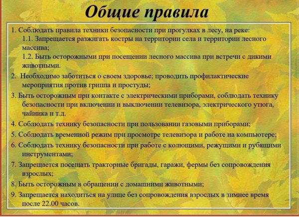 Техника безопасности на осенних каникулах
