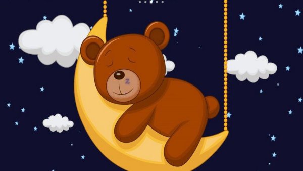 Медвежонок спит на Луне