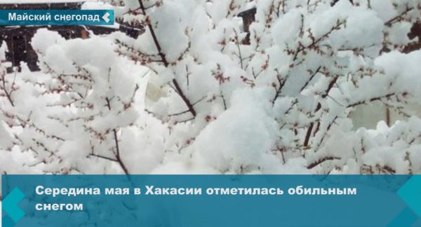 Прогноз погоды в Хакасии