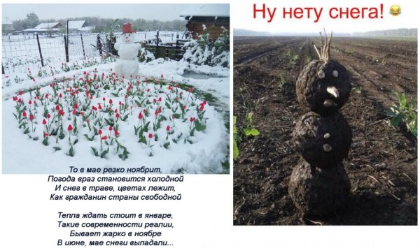 Ну нету снега Снеговик из земли