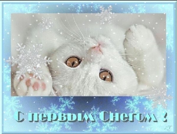 Открытки с первым снегом
