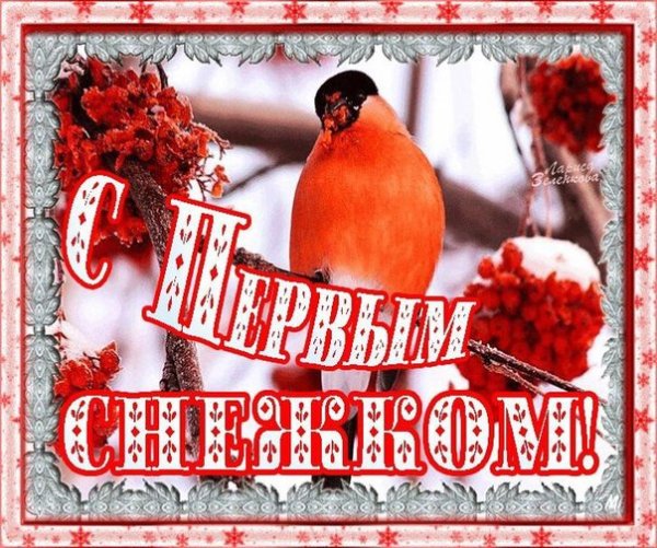 Открытки с первым снегом