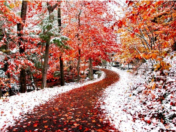 Ранняя зима