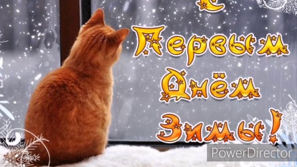 С первым зимним днем