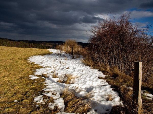 Снег в Вене