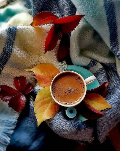 Теплого осеннего утра