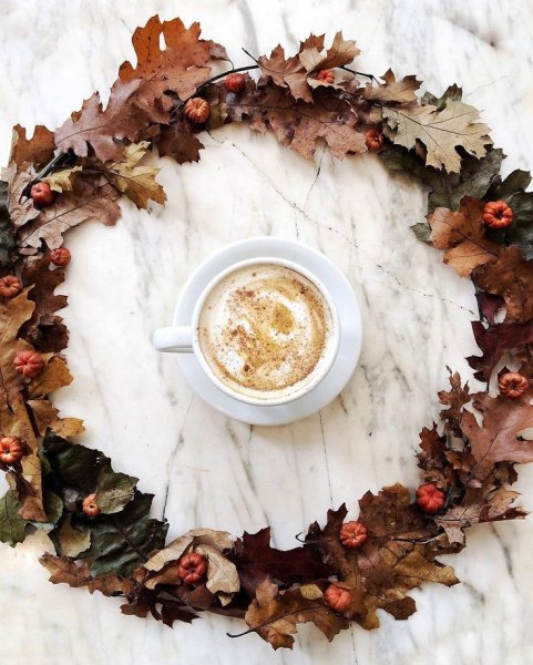 Доброе утро осенниестилтные