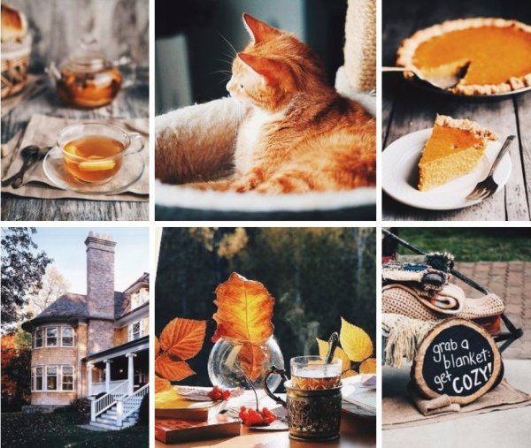 Чай уют кот