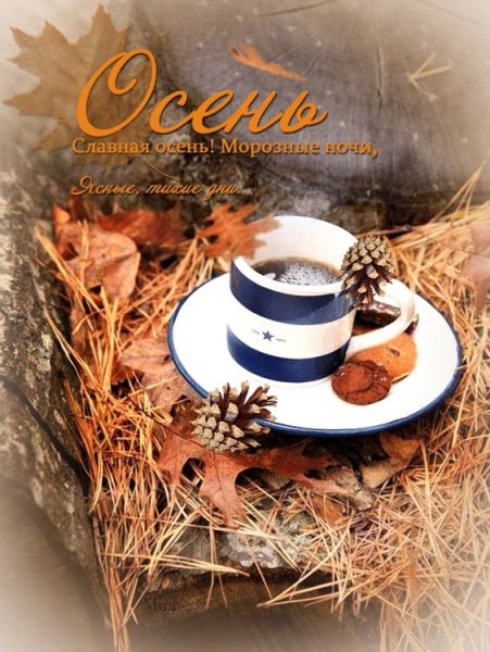 Прекрасного ноябрьского утра