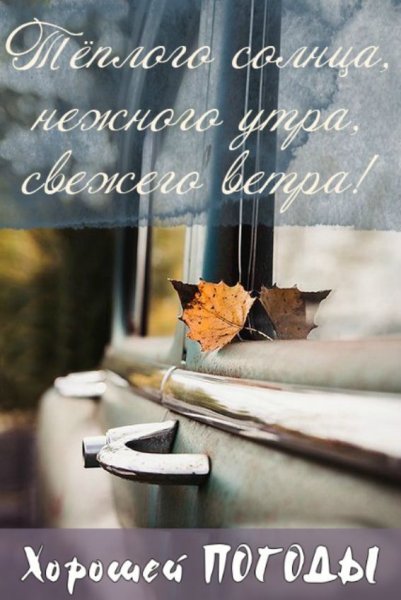 С добрым осенним утром