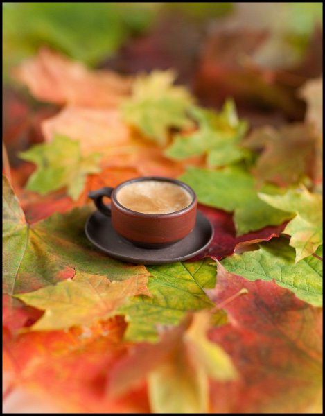 Осеннее утро