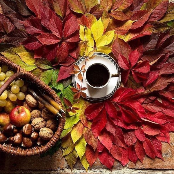 Доброе осеннее утро