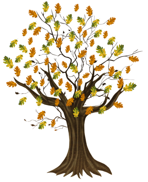 Осеннее дерево