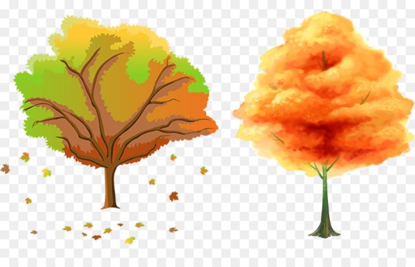 Деревья разноцветные осенние для детей