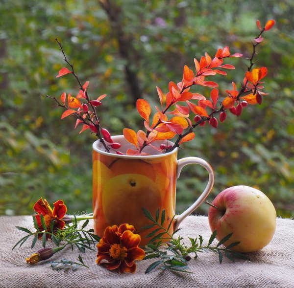 Доброе утро осень