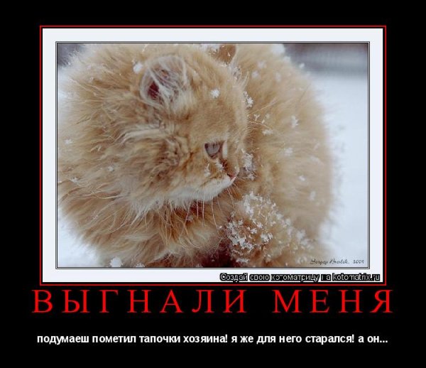 Вот и снежок