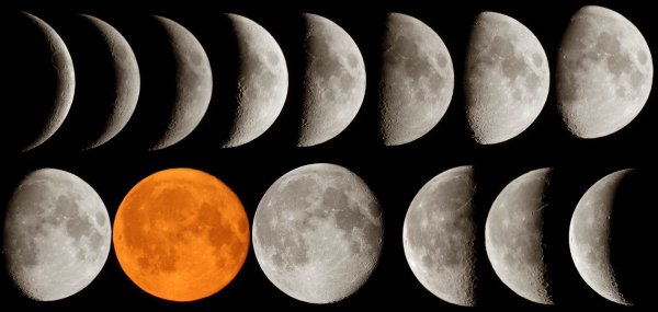 Как выглядит растущая Луна