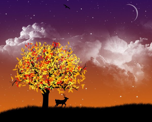 Спокойной ночи осень