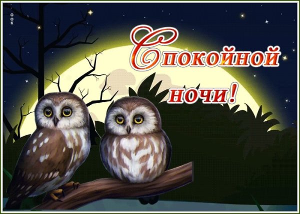 Пока доброй ночи