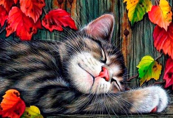 Ирина Гармашова коты