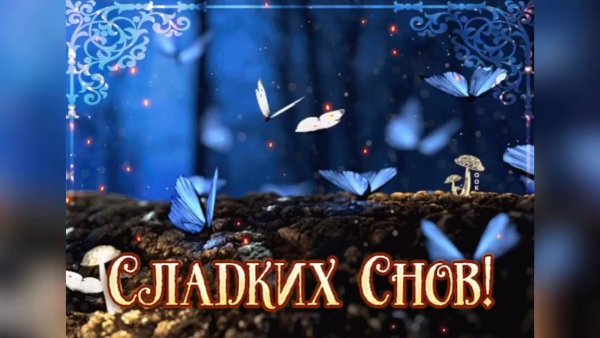 Сладких осенних снов