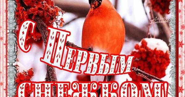 Открытки с первым снегом