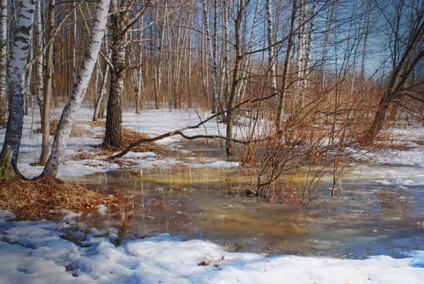 Весна тает снег