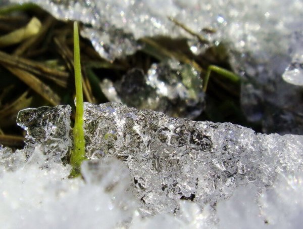 Тающий снег