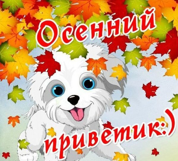 Открытки осенний приветик