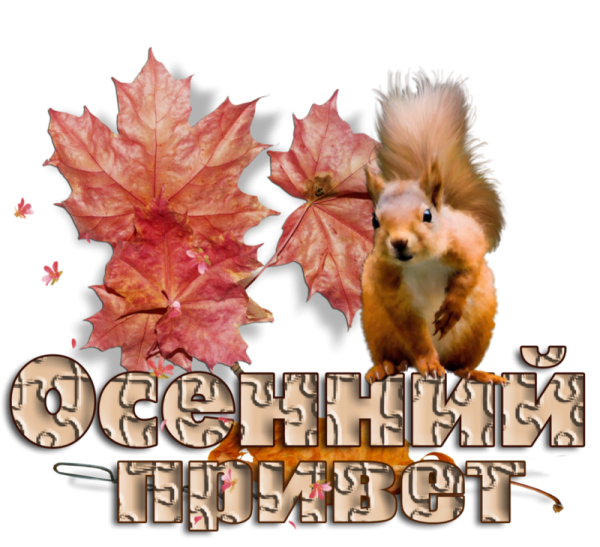 Осенний привет