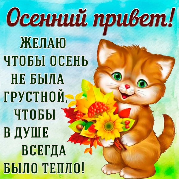 Осенний привет