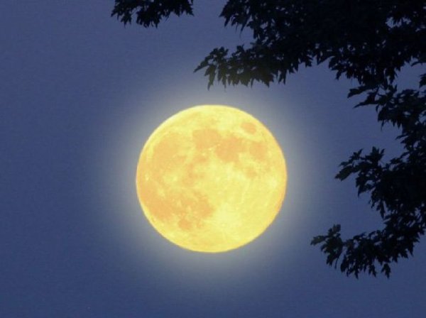 Изображение Луны для детей