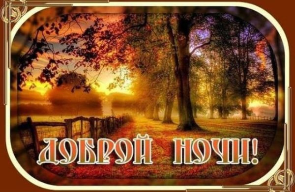 Осенние пожелания спокойной ночи