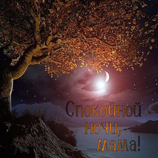 Спокойной ночи красивые осенние